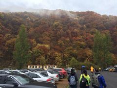 iphone_upload_pic-望天鹅景区