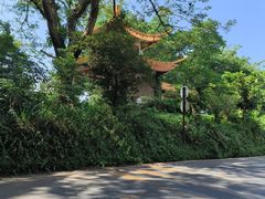 -深圳仙湖植物园