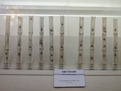 -旅顺博物馆