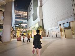 -港汇恒隆广场