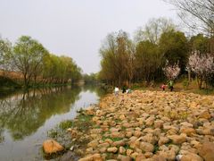 -新江湾城公园