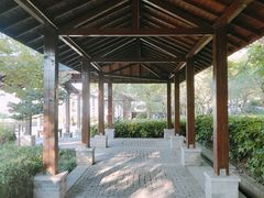 -三林塘老街