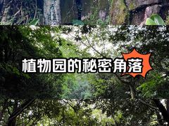 -深圳仙湖植物园
