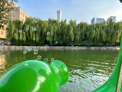 -团结湖公园