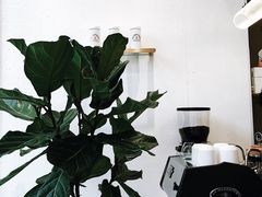 -red donkey coffee