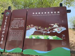 -百里山水画廊乌龙峡谷