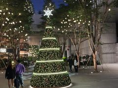 -深圳湾万象城(南山店)