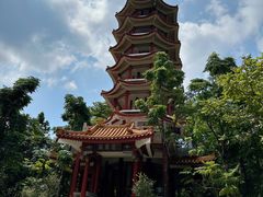 -深圳仙湖植物园