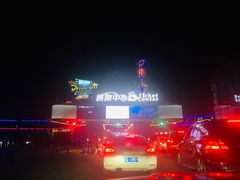 -枫花园汽车电影院(朝阳公园店)