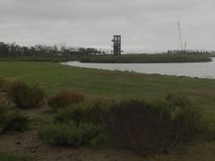 -春花秋色城市公园