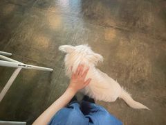 -绿房子方寸咖啡(星海名城店)