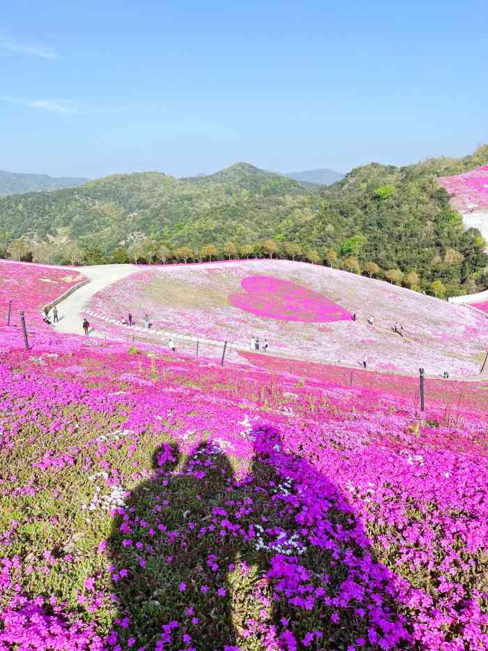 達人谷度假樂園-