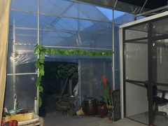 -马陆小张葡萄园农家乐