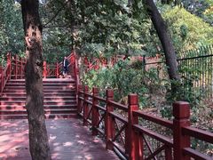 -紫金山索道-售票处