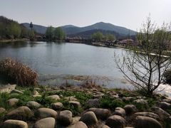 -石塘人家