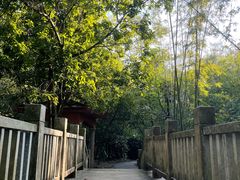-大屏嶂森林公园