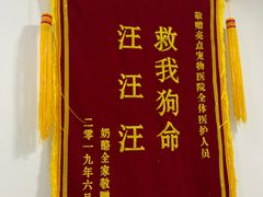 -美联众合动物医院(·中兽医·疑难杂症·严家桥分院)