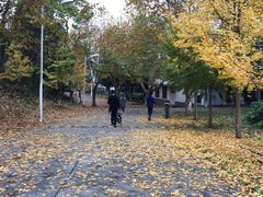 -南京农业大学(浦口校区)