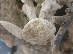 -奥龙堡游泳馆(广纸店)