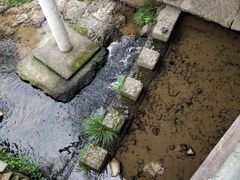 -宁波浙东大竹海景区