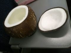 -志龙皇冠吃货椰子铺