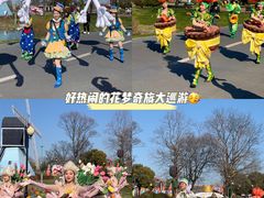 -荷兰花海