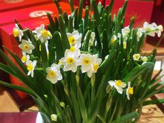 -景湖轩全日制餐厅·南湖名都