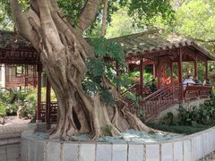 -西湖公园(鼓楼区)