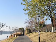 -羊山湖公园