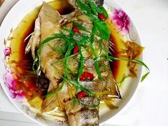 -田螺阿姨自营月嫂·育儿嫂(高新店)