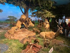 -国家自然博物馆