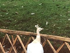 景点-昆明动物园