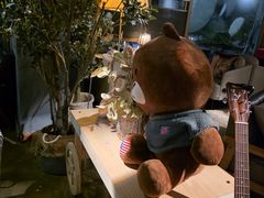 -咖法森林·咖啡  酒吧(天河店)