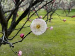 android_upload_pic-汤湖公园