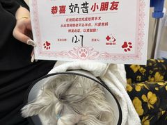 -御宝贝24h宠物医院·转诊中心·CT核磁血透中心(厦门总院)