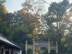 -镇江市南山风景名胜区竹林景区