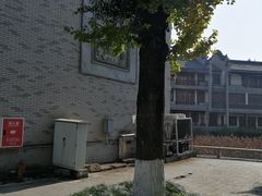 -龙潭水乡