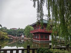 -房湖公园