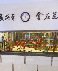 -中国黄金(北京旗舰店)