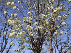 -仙海旅游度假区