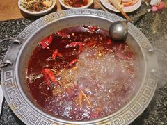 -杨肥肠火锅大排档(火车站花园店)
