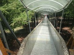 -红崖峡谷景区