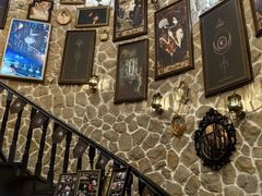 -雪灵魔法世界SHELLY’S TAROT(大良桂畔里店)