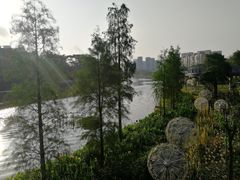 -怡海公园(桂城街道)