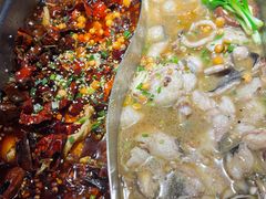 -舒来喜鱼锅(伊河路店)
