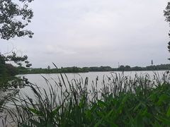 -东湖落雁景区
