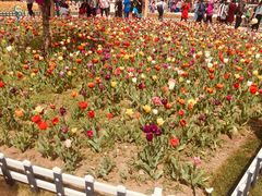 -长春公园(普阳街道)