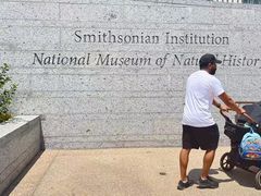 -美国自然历史博物馆