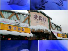 -海合安成都极地海洋公园