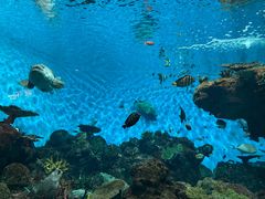 -鹿儿岛水族馆